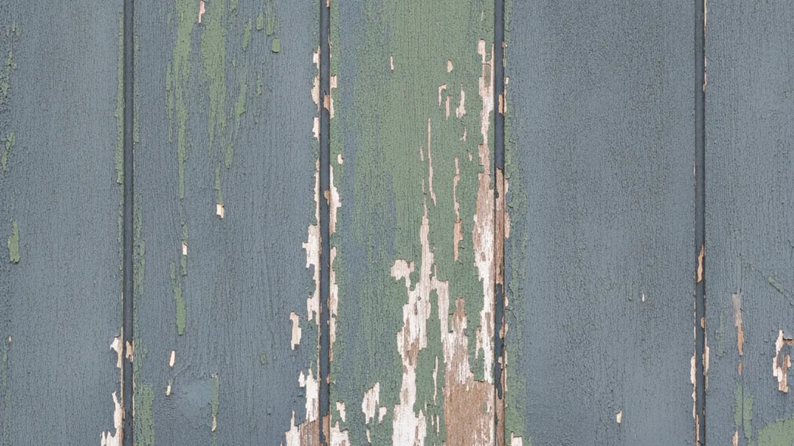 Weathered T1-11 grooved plywood panel siding with paint peeling and plies delaminating